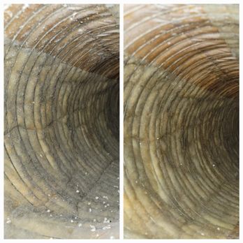 Monster Steamer Carpet Cleaning - Air duct cleaning before and after - Carpet Cleaning Near Me - San Diego, California Monster Steamer Carpet Cleaning - Air duct cleaning before and after - Carpet Cleaning Near Me - San Diego, California