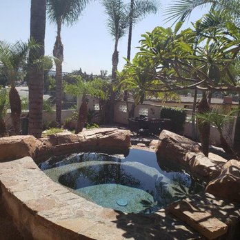 Savosh Tree & Landscape Service - Great Care went into Trimming our Palms - Tree Services Near Me - Brea, California Savosh Tree & Landscape Service - Great Care went into Trimming our Palms - Tree Services Near Me - Brea, California
