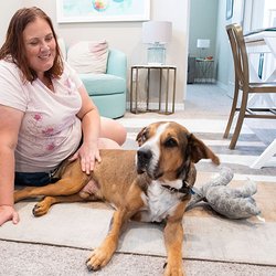 BluePearl Pet Hospice