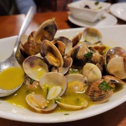 Solar 31 - Clams