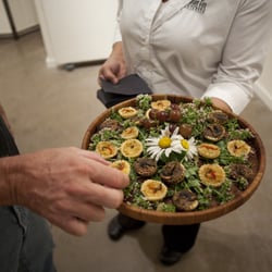 Silver Fox Catering