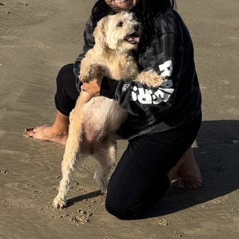 Paws R Us - Pet Groomers Near Me - Fresno, California Paws R Us - Pet Groomers Near Me - Fresno, California