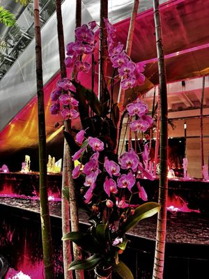 Bal Harbour Shops by null