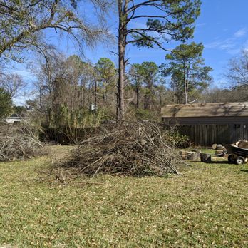 Tree wise men - Tree Services Near Me Tree wise men - Tree Services Near Me