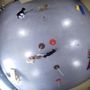 Photo of Pampered Pet Resorts