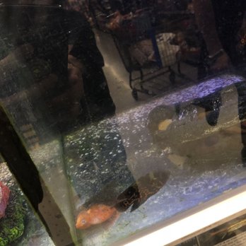 Walmart Supercenter - Dead fish - Department Stores Near Me - Chula Vista, California Walmart Supercenter - Dead fish - Department Stores Near Me - Chula Vista, California