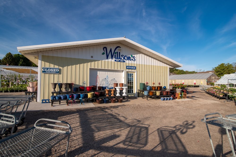 WILLSON’S FLOWER & GARDEN CENTER Updated September 2024 1003