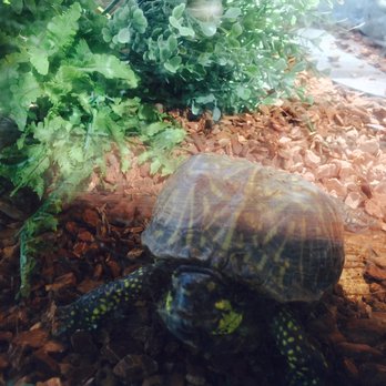 Sandoway Discovery Center - Friendly tortious - Parks Near Me - Delray Beach, Florida Sandoway Discovery Center - Friendly tortious - Parks Near Me - Delray Beach, Florida