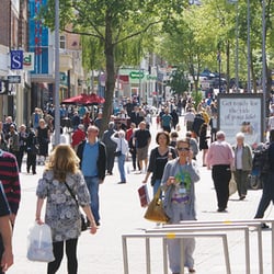 Successful Sutton