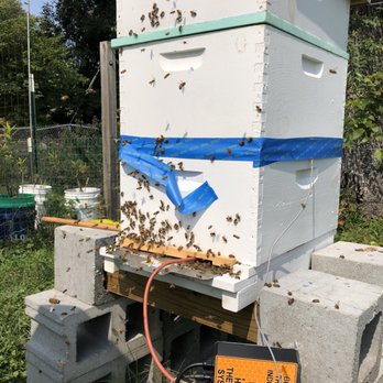 Beeresq - Thermal hive treatment - Specialty Schools Near Me - Napoleon, Missouri Beeresq - Thermal hive treatment - Specialty Schools Near Me - Napoleon, Missouri