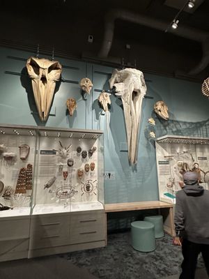 University of Alaska Museum of the North by null