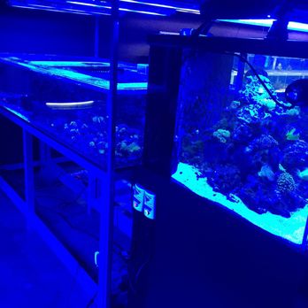 Frag Freak - Pet Stores Near Me - Sarasota, Florida Frag Freak - Pet Stores Near Me - Sarasota, Florida