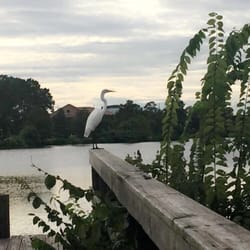 Milford Wampold Memorial Park - Milford park LSU.
