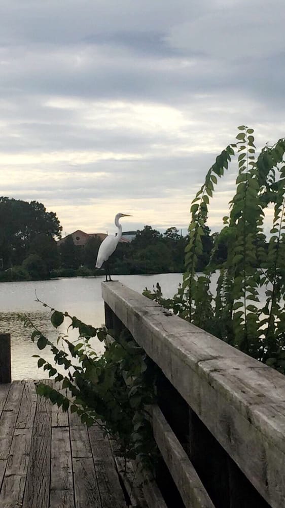 Milford Wampold Memorial Park