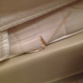 AC Hotel by Marriott Nice - Torn, old, beat up, mattress.  Good luck trying to get any sleep on this artifact.  Mattress tears can be a haven for bed bugs! - Hotels Near Me - Nice, 06