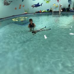Swim Life