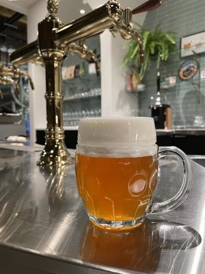 Cohesion Brewing by null