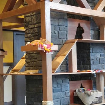 Seattle Meowtropolitan - Themed Cafes Near Me - Seattle, Washington Seattle Meowtropolitan - Themed Cafes Near Me - Seattle, Washington