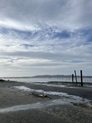 Bay Point Landing by null