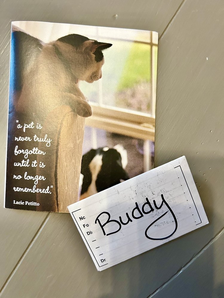 ROYAL OAKS VETERINARY HOSPITAL Updated August 2024 12 Photos & 22