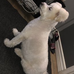 Toby