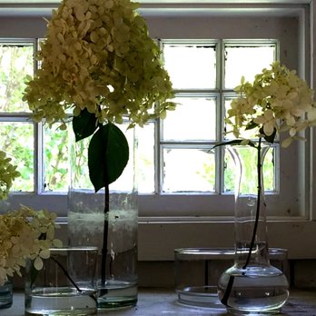White Flower Farm House - Single stems of Limelight Hydrangeas - 8/15/2026 - Rugs Near Me - Southold, New York White Flower Farm House - Single stems of Limelight Hydrangeas - 8/15/2026 - Rugs Near Me - Southold, New York