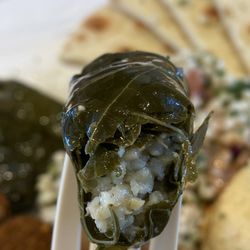 Luna Grill Menifee - Rice Stuffed Grape Leaves