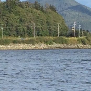 Ketchikan Charter Boats - Orcas getting away from the knucklehead and swimming to Dan's wake - Boat Charters Near Me - Ketchikan, Alaska Ketchikan Charter Boats - Orcas getting away from the knucklehead and swimming to Dan's wake - Boat Charters Near Me - Ketchikan, Alaska