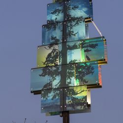 Old Growth New/Now - Solar panels provide the energy for the back lighting. Photo Credit: Tom Paiva