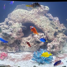 I don't think my tank looks bad.