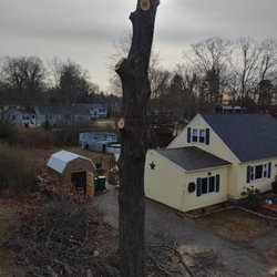 Oakleaf Landscaping & Tree Maintenance - Another pic.