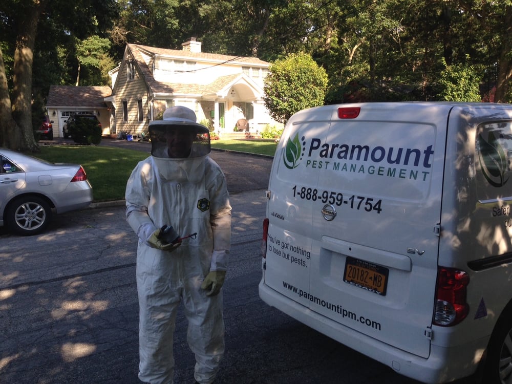 PARAMOUNT PEST MANAGEMENT Updated October 2024 13 Photos 2 Maple
