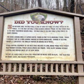 Dollywood - Dollywood - Amusement Parks Near Me - Pigeon Forge, Tennessee