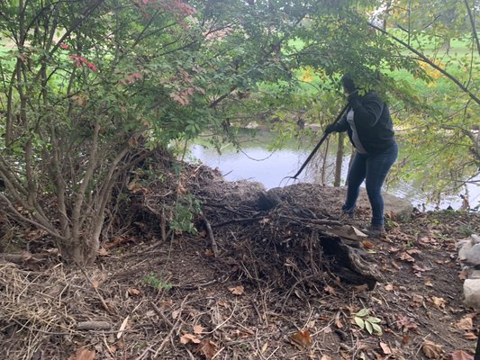 Hard at work after the hurricane! We're here for you - Junk Removal, Trash removal Services as well Hard at work after the hurricane! We're here for you - Junk Removal, Trash removal Services as well