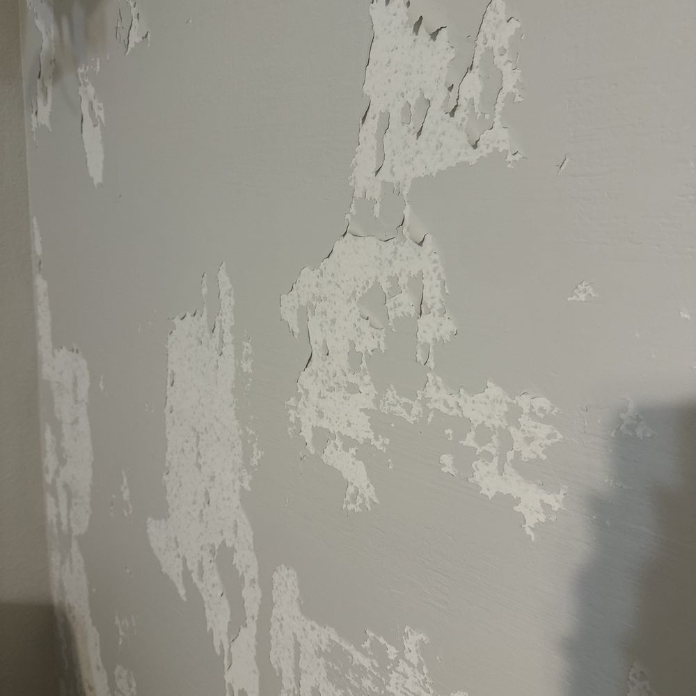 Profesional Painting Service - Before nursery wall, after peeling off "removable" wallpaper. - Painters Near Me