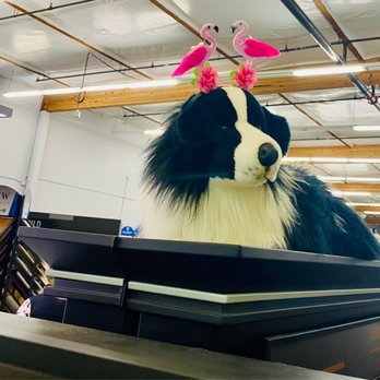 Great Floors - One of the staff has a stuffed dog dressed up with pink flamingos. Love the unexpected - Flooring Near Me - Redmond, Washington