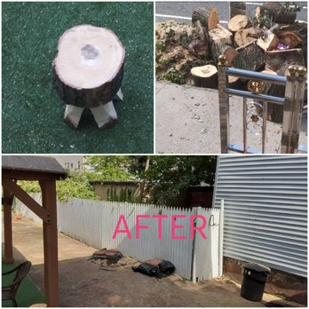 Skyline Tree Services - Tree Services Near Me Skyline Tree Services - Tree Services Near Me