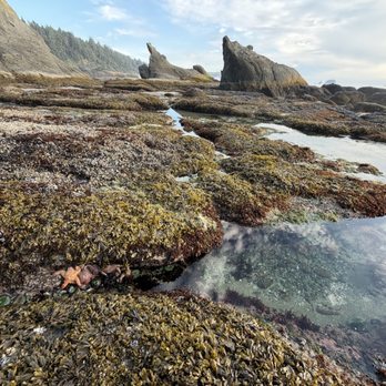 Shi Shi Beach - Parks Near Me - Neah Bay, Washington Shi Shi Beach - Parks Near Me - Neah Bay, Washington
