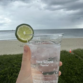 Tree House Brewing - Mocktail - Brewpubs Near Me - Sandwich, Massachusetts