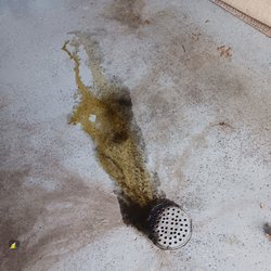 The Duke of Oil - Oil on floor next morning after oil change previous day.