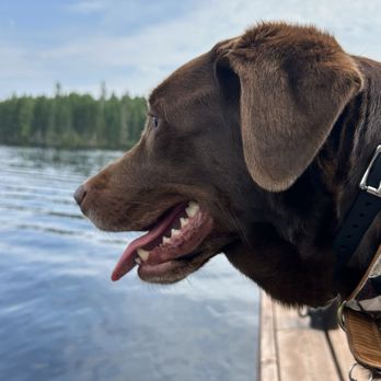 Three Dog Bakery - My dog loves to go to the Three Dog Bakery and would consider being the 4th! - Pet Stores Near Me - Apple Valley, Minnesota