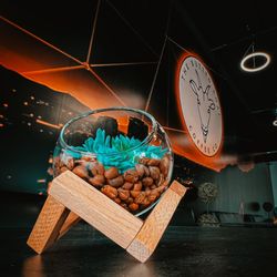 The Buzzed Goat Coffee