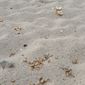 Pyramid Rock Beach - Really? Pistachio shells and orange peels were intentionally left here. Who does that? - Beaches Near Me - Marine Corps Base Hawaii, Hawaii Pyramid Rock Beach - Really? Pistachio shells and orange peels were intentionally left here. Who does that? - Beaches Near Me - Marine Corps Base Hawaii, Hawaii