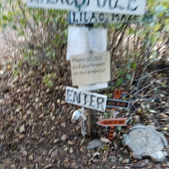 Fort Cross Old Timey Adventures - The Lilac maze is where#4 is... - Tours Near Me - Santa Ysabel, California