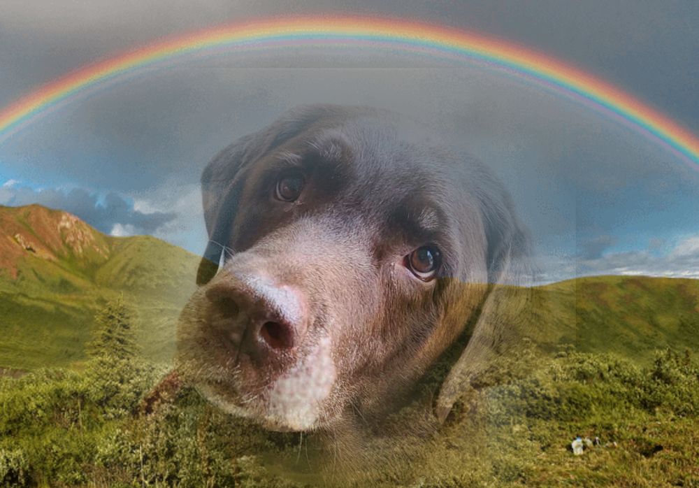 HEART’S EASE VETERINARY CARE Updated September 2024 14 Photos & 22