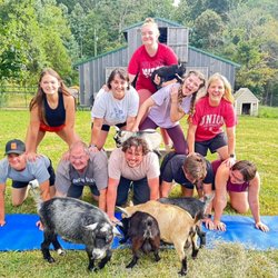 Pygmy Harbor Farm - Private goat yoga class