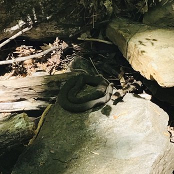 Anna Ruby Falls - Hiking Near Me - White, Georgia