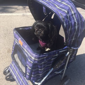 PetSmart - Pet Groomers Near Me - Las Vegas, Nevada PetSmart - Pet Groomers Near Me - Las Vegas, Nevada
