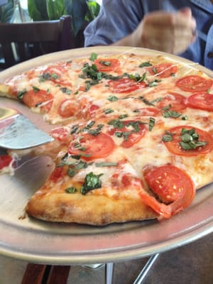 North Beach Pizza - The Pizza Place Online Shop Near Stanyan St, San Francisco by null