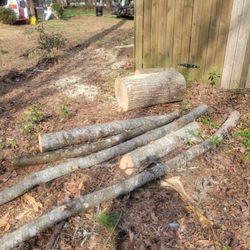 Out On A Limb Tree Service